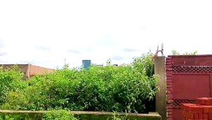  Plot – Exterior View View at Simliya - for Sale