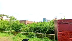  Plot – Garden View at Simliya - for Sale