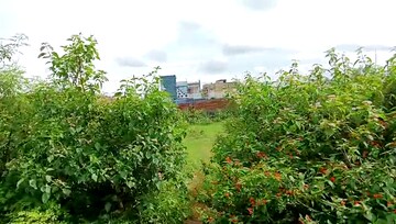  Plot – Exterior View View at Simliya - for Sale