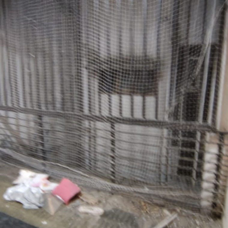 Bathroom, shivalik colony 3.5 Bedroom 1800 Sq.Ft. Builder Floor In Shivalik Colony Delhi 9330627