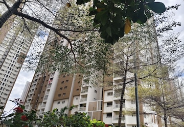 3 BHK Apartment For Rent in My Home Mangala, Kondapur