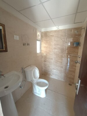 Bathroom in 2 BHK Apartment at Amrapali Terrace Homes, Tech Zone 4 Greater Noida – for Rent