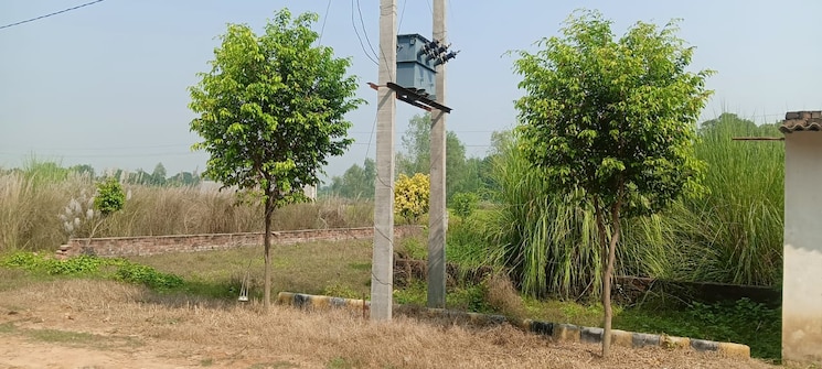 Garden, raebareli road  1668 Sq.Ft. Plot In Raebareli Road Lucknow 9330723