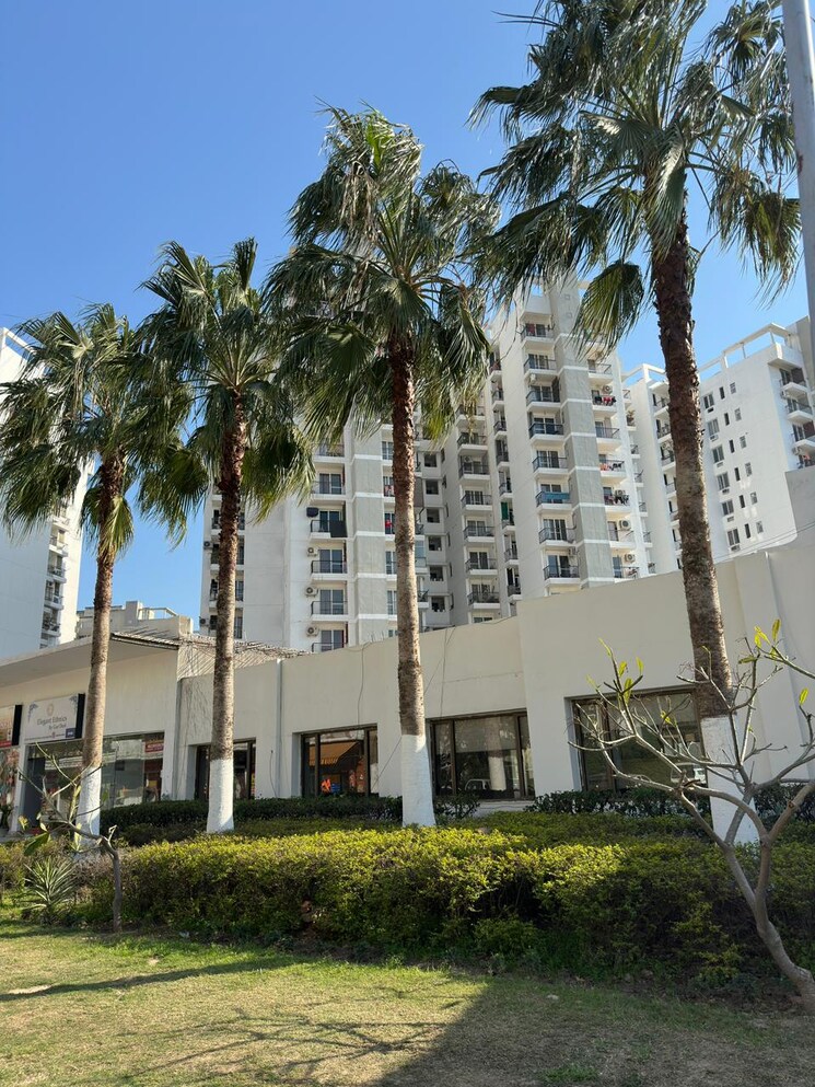 Exterior View, nk-savitry-enclave 3 Bedroom 1850 Sq.Ft. Apartment In Vip Road Zirakpur 9330768