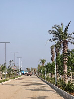  Plot – Exterior View View at Riyasat vatika, Vatika - for Sale