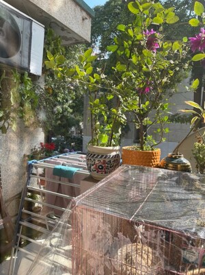 Swimming Pool in 4 BHK Builder Floor at Uppal Southend, Sector 49 – for Sale