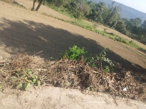 Plot Area in  Plot at Chari Khas – for Sale