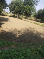 12000 Sq.Ft. Plot in Chari Khas 