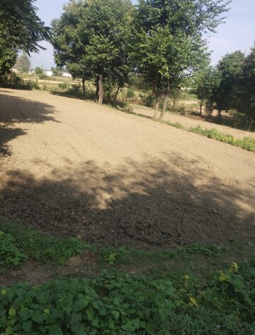  Plot For Sale in Chari Khas