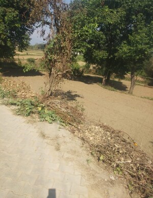 Plot Area in  Plot at Chari Khas – for Sale