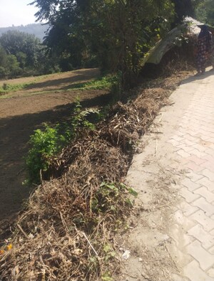 Plot Area in  Plot at Chari Khas – for Sale