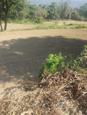 Plot Area in  Plot at Chari Khas – for Sale