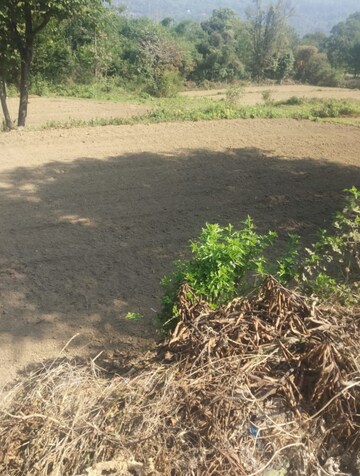 Plot Area in  Plot at Chari Khas – for Sale