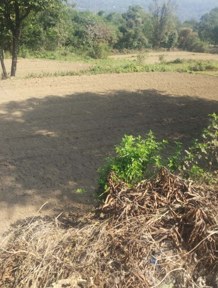 undefined, chari khas  12000 Sq.Ft. Plot In Chari Khas Kangra 9331268