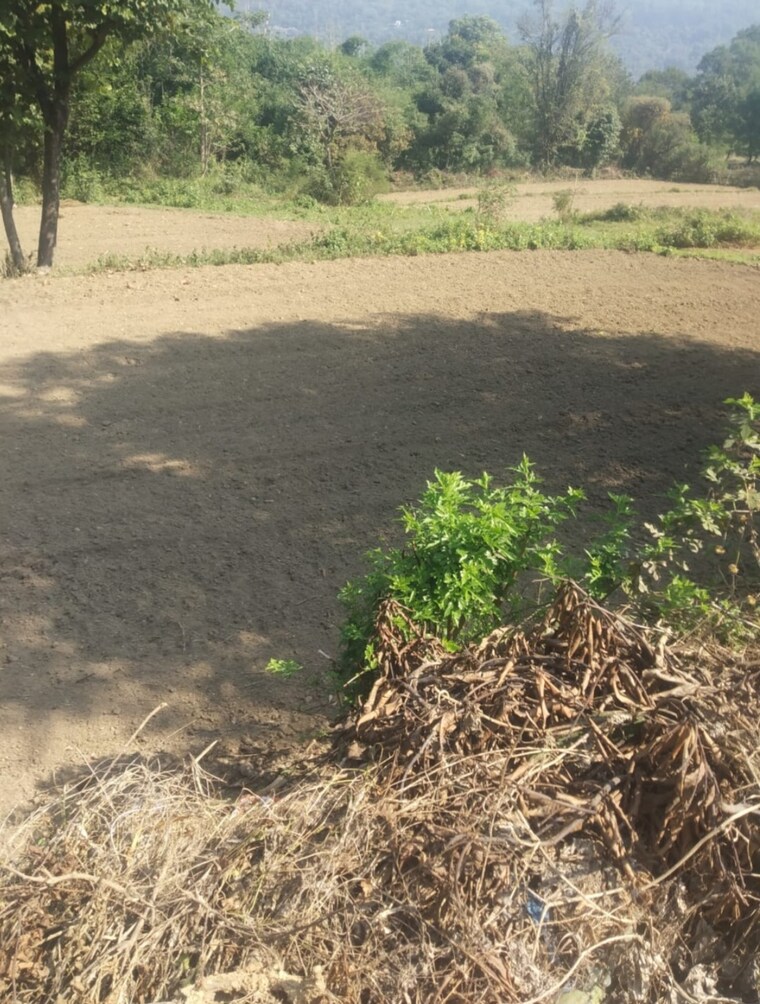 undefined, chari khas  12000 Sq.Ft. Plot In Chari Khas Kangra 9331268