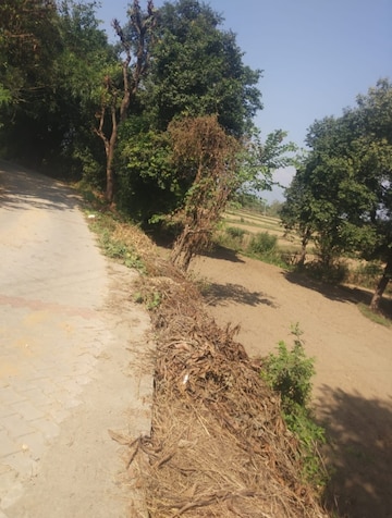 Plot Area in  Plot at Chari Khas – for Sale