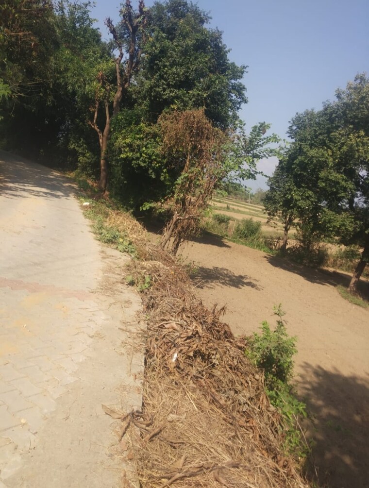 undefined, chari khas  12000 Sq.Ft. Plot In Chari Khas Kangra 9331268