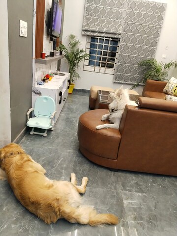 Living Room in 5 BHK Villa at Badheri Rajputan – for Sale