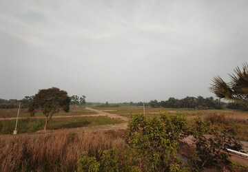 Plot Area in  Plot at Bishnupur – for Sale