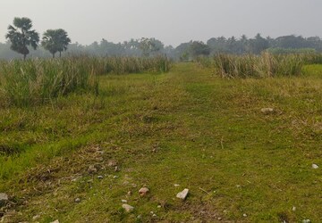 Plot Area in  Plot at Bishnupur – for Sale