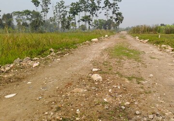 Plot Area in  Plot at Bishnupur – for Sale
