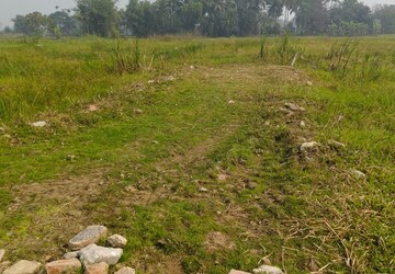 Plot Area in  Plot at Bishnupur – for Sale