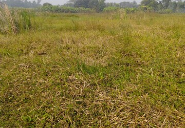 Plot Area in  Plot at Bishnupur – for Sale