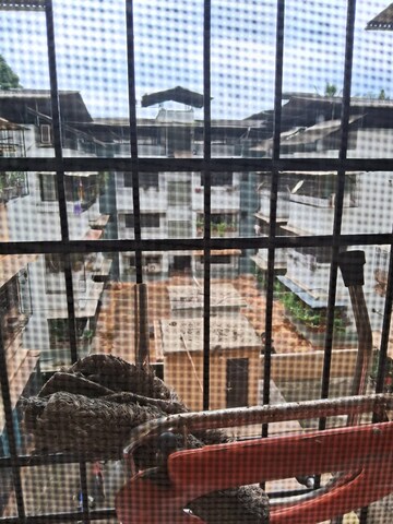 1 BHK Apartment – Exterior View View at Regency Anantam, Dombivli East - for Rent