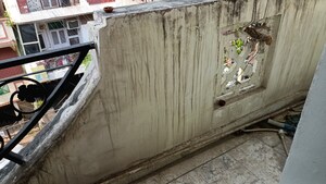 Balcony in 1 BHK Builder Floor at Vaishali Sector 5 – for Rent