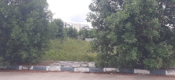 undefined, peers-kings-dream-view-city  250 Sq.Yd. Plot In Jalapalli Hyderabad 9332473