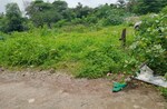 204 Acre Plot in Wadki