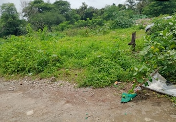 Plot For Sale in Wadki