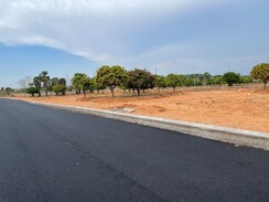 Plot For Sale in JB Nature Valley