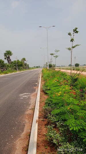 Plot Area in  Plot at JB Nature Valley, Choutuppal – for Sale