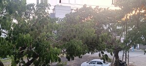 2 BHK Apartment – Exterior View View at Wathoda - for Sale