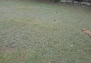 Plot – Garden View at Wave City, Wave City - for Sale