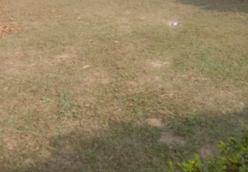 Plot Area in  Plot at Wave City, Wave City – for Sale