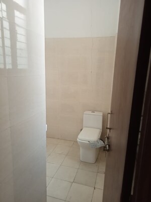 3 BHK Apartment For Rent in Tulip White, Sector 69