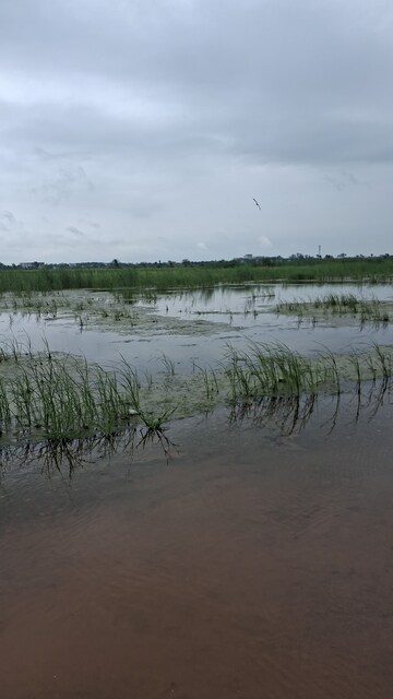  Plot – Exterior View View at NKV Vaishnav Residency, Sector 66 - for Sale