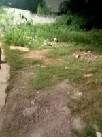 4500 Sq.Ft. Plot in Sainik Farm