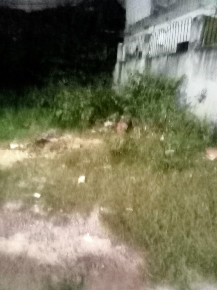 undefined, sainik farm  4500 Sq.Ft. Plot In Sainik Farm Delhi 9334853