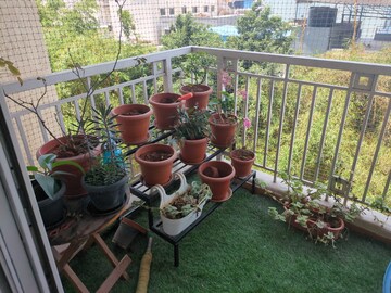Balcony in 2 BHK Apartment at Salarpuria Sattva Greenage, Hosur Road – for Sale