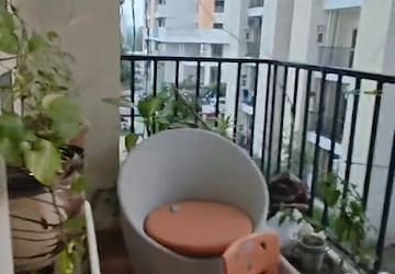 Balcony in 2 BHK Apartment at Sector 24 – for Rent