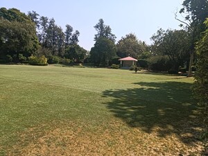  Plot – Nearby View at Sector 101 - for Sale