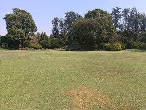  Plot – Nearby View at Sector 101 - for Sale