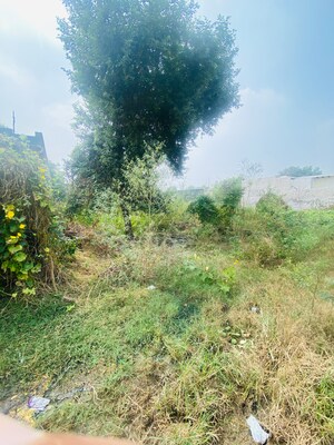  Plot For Sale in Sector 101