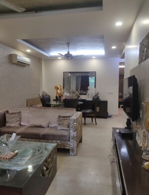 Living Room in 3 BHK Builder Floor at Chittaranjan Park – for Rent