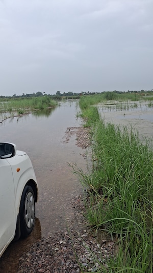 Plot Area in  Plot at Silani Chowk – for Sale