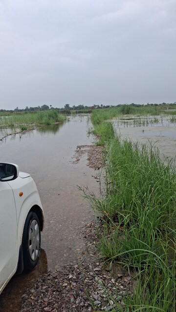 Plot Area in  Plot at Silani Chowk – for Sale