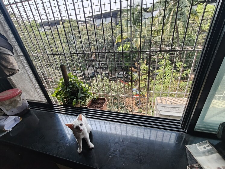 Balcony, vrindavan-society-thane-west 2 Bedroom 829 Sq.Ft. Apartment In Vrindavan Society Thane 9336037